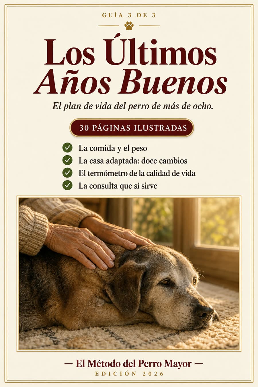 Portada de Los Últimos Años Buenos