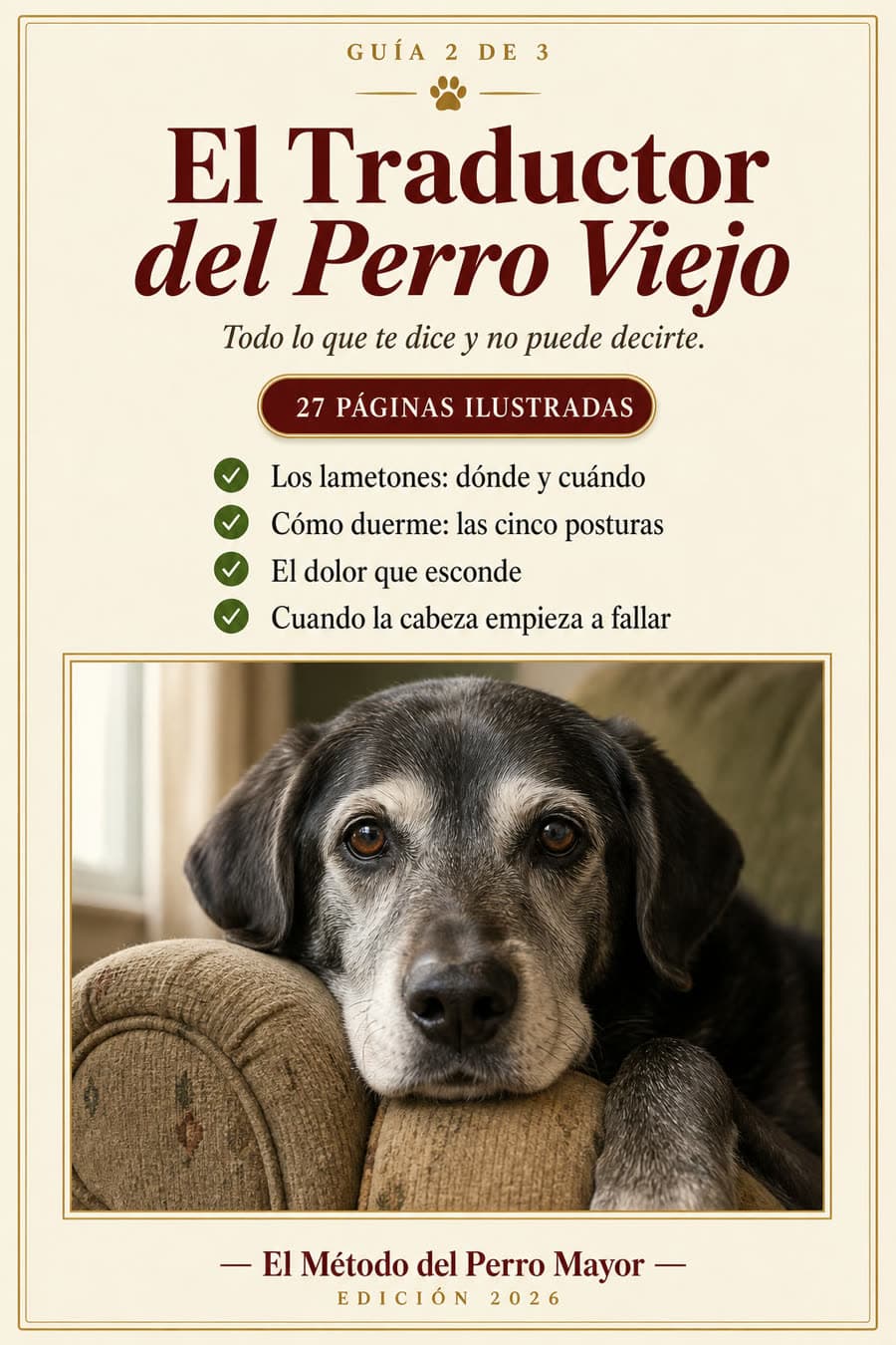 Portada de El Traductor del Perro Viejo